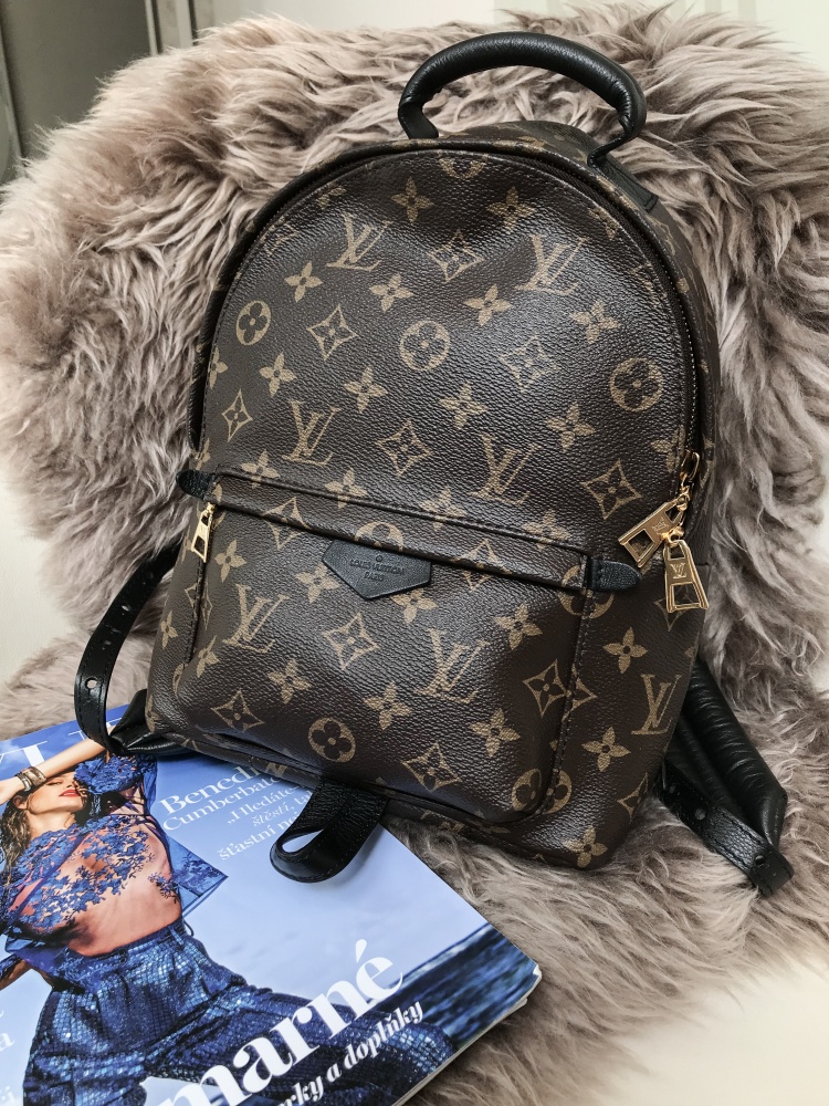 Louis Vuitton Monogram Palm Springs Backpack