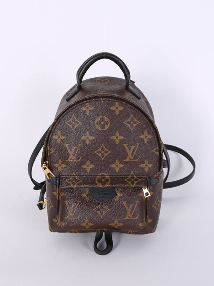 Louis Vuitton - Palm Springs Mini Monogram Canvas Backpack