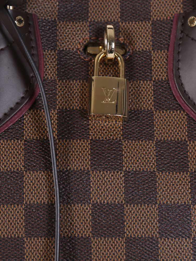 Louis Vuitton Damier Ebene Python Normandy Bag