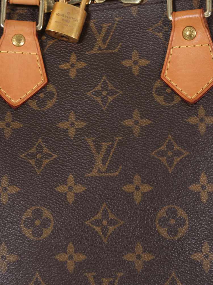 Louis Vuitton - Alma PM Monogram Canvas