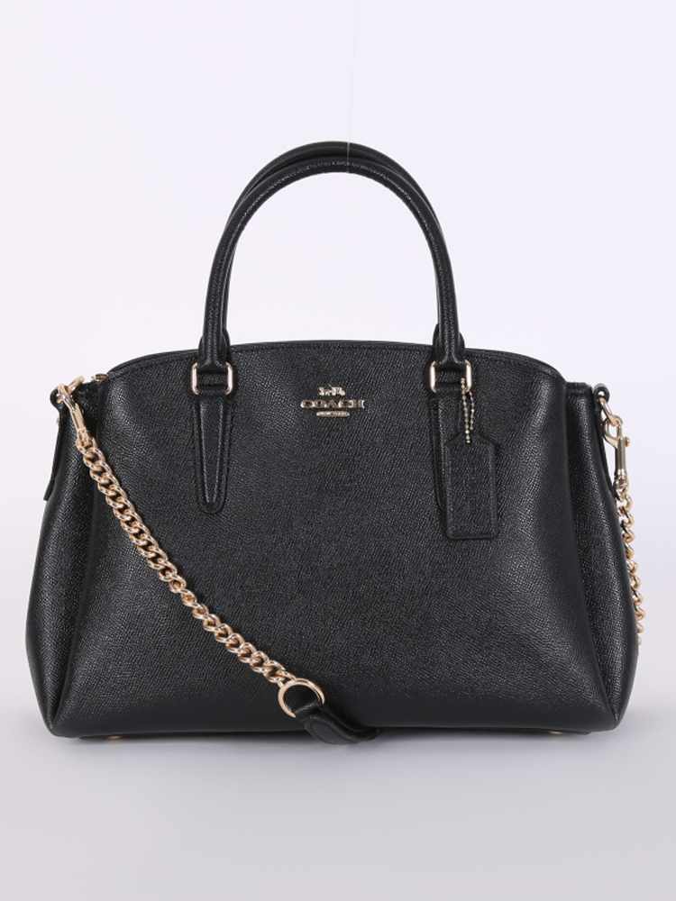 Coach sage carryall bag deals