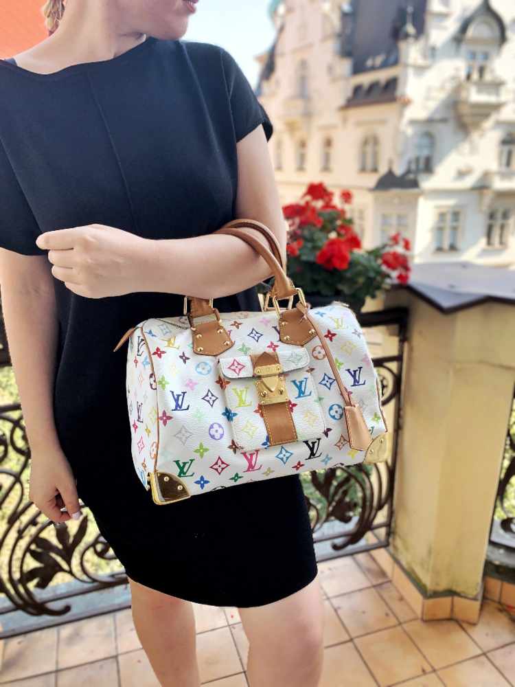 Louis vuitton speedy multicolor hotsell