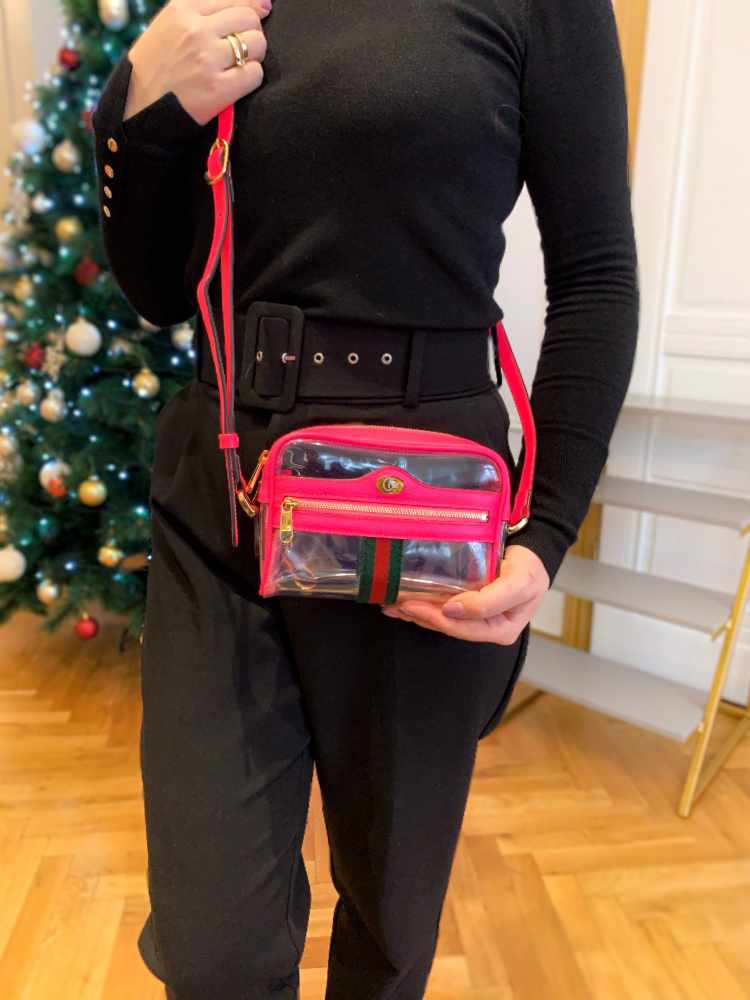 Ophidia mini transparent bag deals