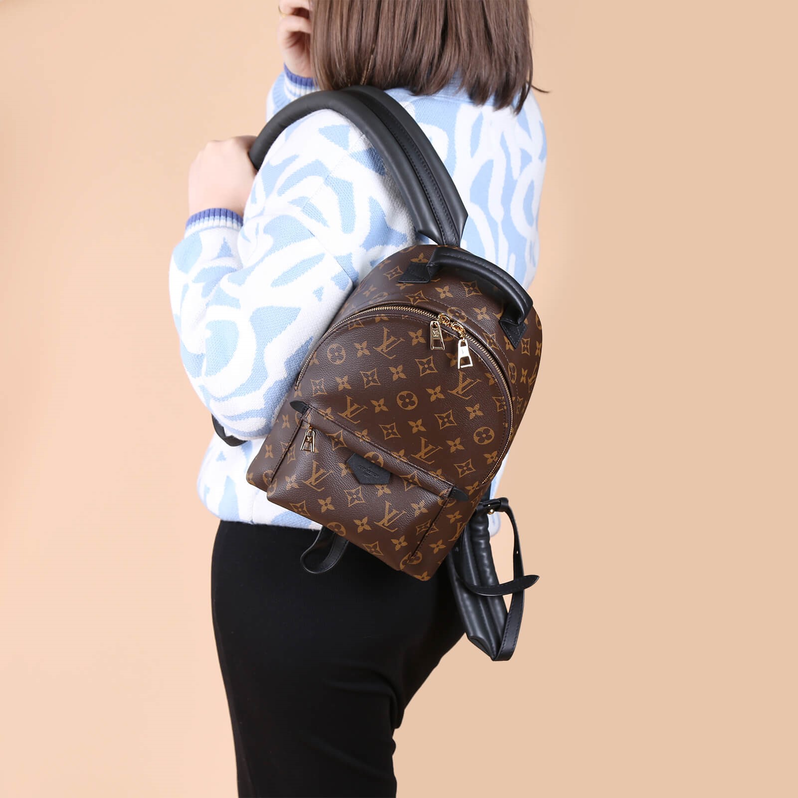 Louis Vuitton - Palm Springs Backpack PM Monogram Canvas